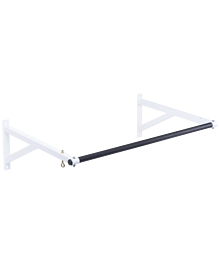 Турник настенный Spectr 1, разборный d=28 мм, ширина 100 см, вынос 60 см
